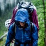 Дождевики (1) Дождевики (1)