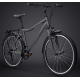 Велосипед LTD Cruiser Lady 640 в аренду