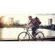 Велосипед LTD Cruiser Comfort в аренду